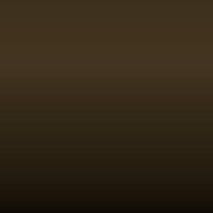 Lakstift Opel - Deep Bronze Green (309 45L)