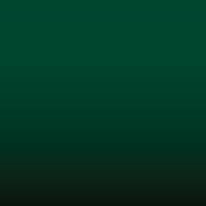 Lakstift Opel - Piniengruen-Pine Green (6GB)
