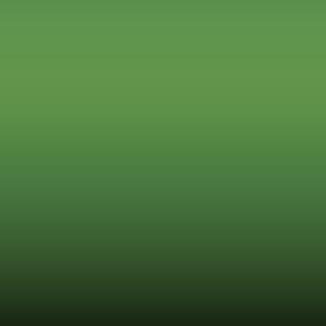 Lakstift Opel - Pistaziengruen-Bright Green (5gb) (324 38L)