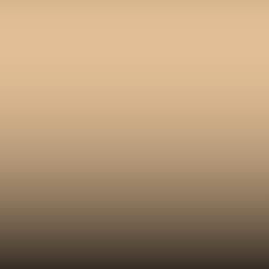 4J9 - Light Tan
