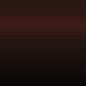 4N2 - Dark Brown