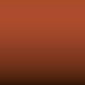 4W2 - Orange