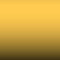NY - Spring Yellow -Taxi-