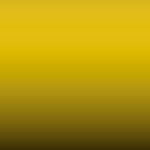 561 - Bright Yellow