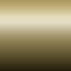 Y3 - Greenish Gold