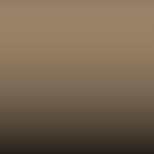 L P1M - Grau-beige - Ral 1019