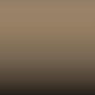 L P1M - Grau-beige - Ral 1019