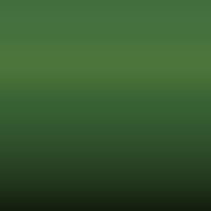 Renault - Vert Postes Irlande (978)