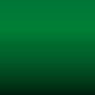 L P6D - Condagruen