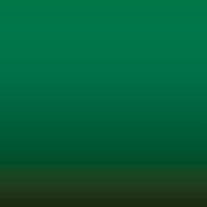 6T0 - Green
