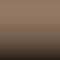 L T1M - Toscanabeige