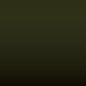 INT 61 - Green Interior -Bn-