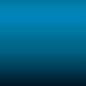 IP - Blue Racing