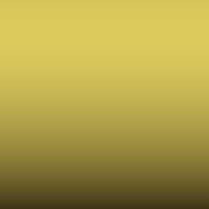 JL - Lemon Yellow-Funny Yellow