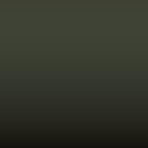Hyundai - Military Green (LZ)
