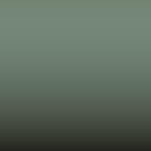Lakstift Fiat - Verde Libero E Bello (309/B)