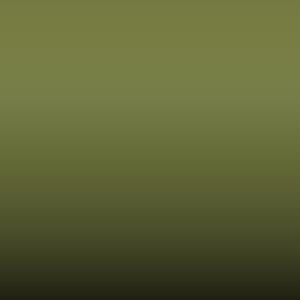 Lakstift Fiat - Verde Brillante (374/79)