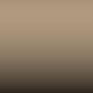 Volvo - Beige-Beige (216)