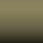 L563 - Safaribeige