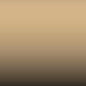 5X - French-Camel Beige H4335