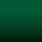 FE - Stellar Green