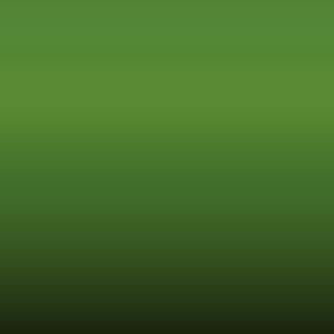 Mazda - Prairie Green (FN)