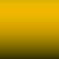 HV - Maroon Yellow
