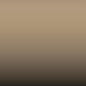 131 - Desert Beige