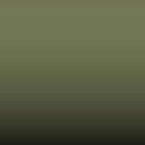 597 - Olive