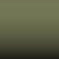 597 - Olive