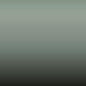 D40 - Light Green