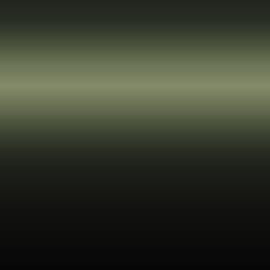 DJ4 - Greyish Green