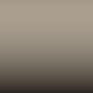 INT 10 - Beige (Interior Cg2-Kj1)