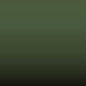 INT 62 - Green (Interior Jt0)