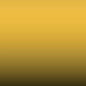 INT E02 W1 - Yellow