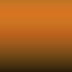 INT E02 W2 - Brick Orange