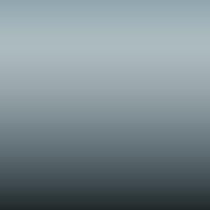 T11 - Silver Blue