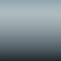 T11 - Silver Blue